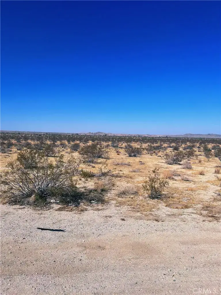 29 Palms, Joshua Tree, CA 92252 - #1
