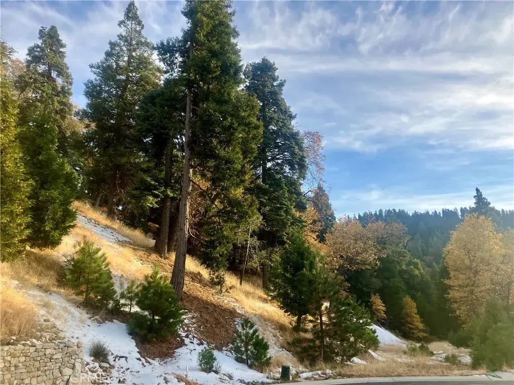 285 Hidden Forest, Lake Arrowhead, CA 92352 - Image #1