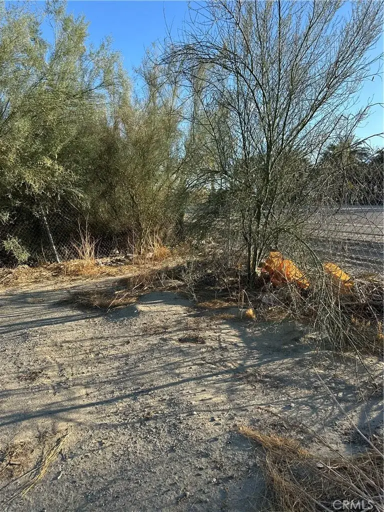 66038 Harrison, Thermal, CA 92274 - #3