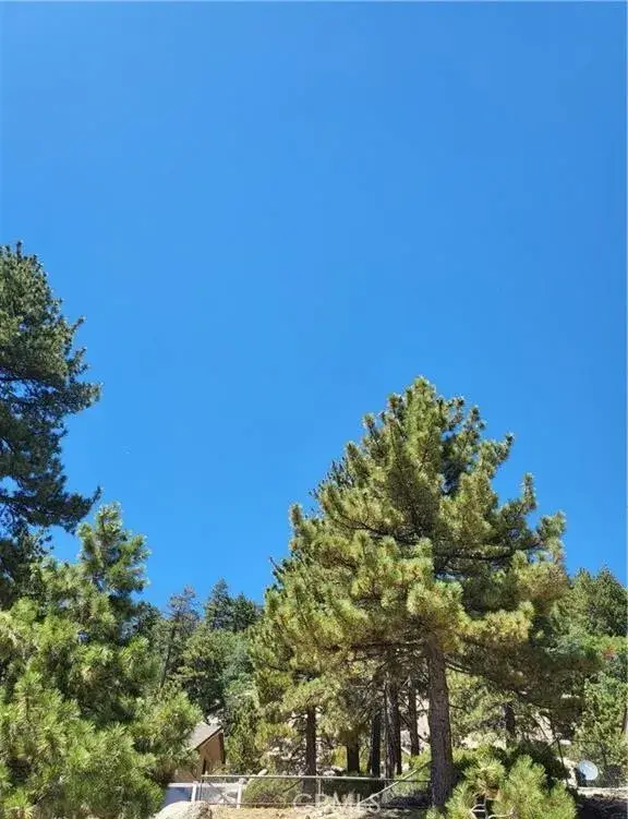 0 North Shore, Fawnskin, CA 92333 - #2