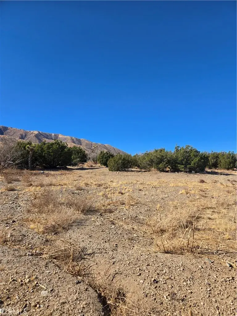 0 Murphys, Littlerock, CA 93543 - #2