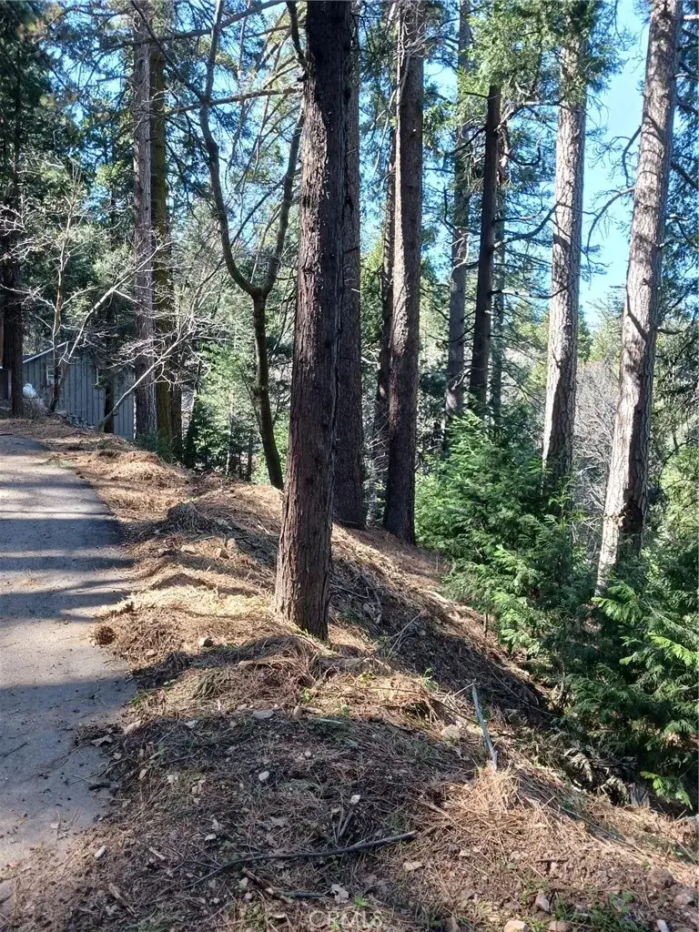 35 Spring, Cedarpines Park, CA 92322 - Image #2