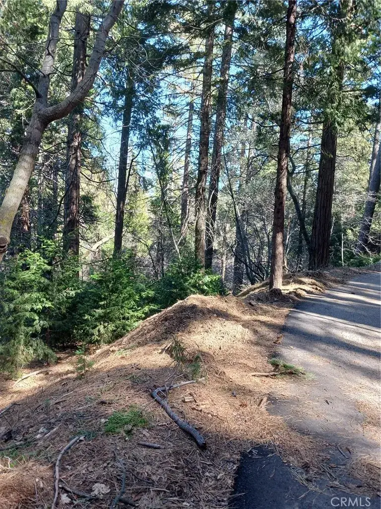 35 Spring, Cedarpines Park, CA 92322 - Image #3