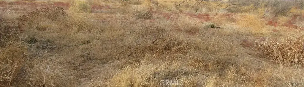 0 043-330-01-07-5 Twisselman, Lost Hills, CA 93249 - Image #1