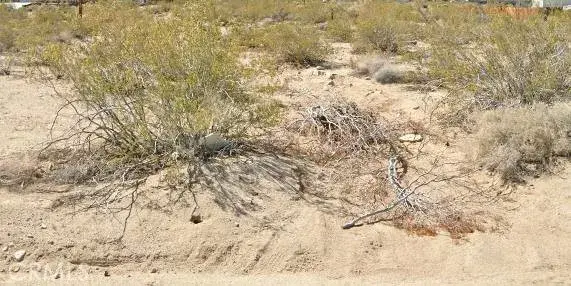 1 Alta Loma, 29 Palms, CA 92277