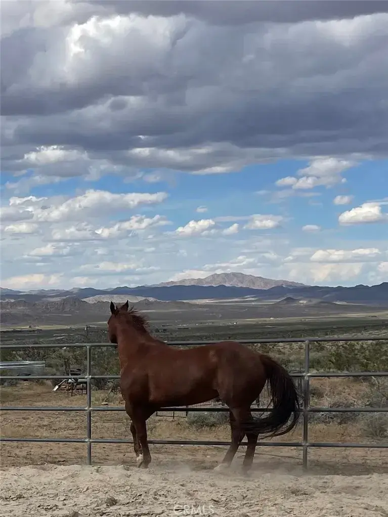 7077 Camp Rock, Lucerne Valley, CA 92356 - Image #1