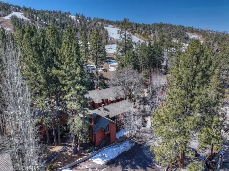 41935 Switzerland Drive #100, Big Bear Lake, CA 92315 - Image #2