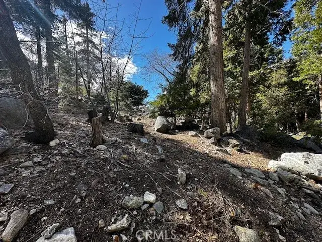 0 Fir, Forest Falls, CA 92339 - #1