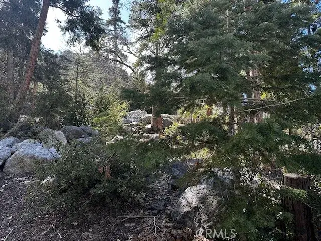 0 Fir, Forest Falls, CA 92339 - #2