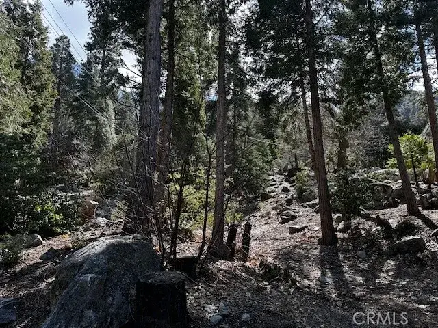 0 Fir, Forest Falls, CA 92339 - #3
