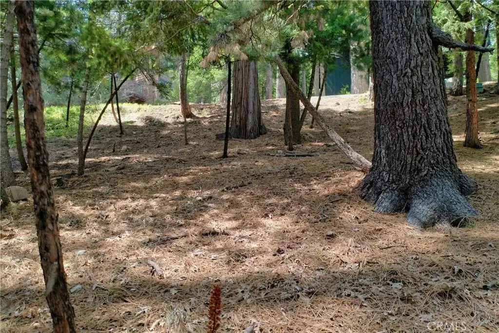 0 Terrace, Lake Arrowhead, CA 92352 - #1