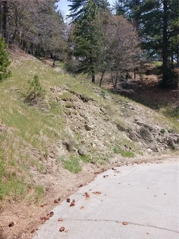 21858 Fern Canyon, Cedarpines Park, CA 92322