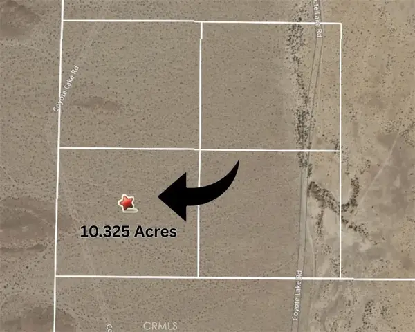 0 0539-061-16-000, Newberry Springs, CA 92365