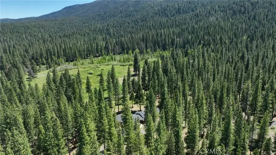 445 Boulder Drive, Clio, CA 96106 - Image #3
