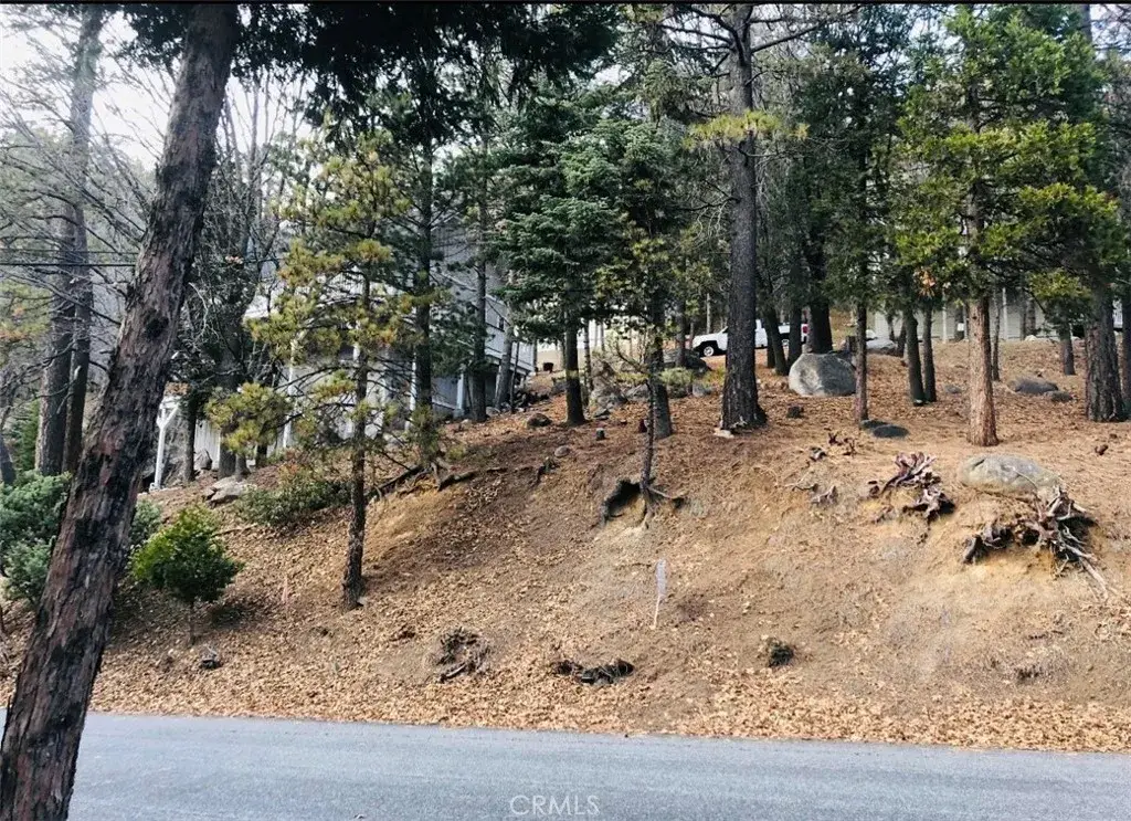 27315 Pinewood, Lake Arrowhead, CA 92352 - Image #1