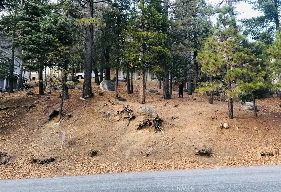 27315 Pinewood, Lake Arrowhead, CA 92352 - Image #2