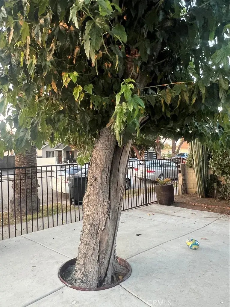 586 W Center Street, Pomona, CA 91768 - #3