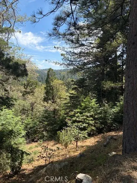 248 Old Toll, Lake Arrowhead, CA 92317 - Image #2