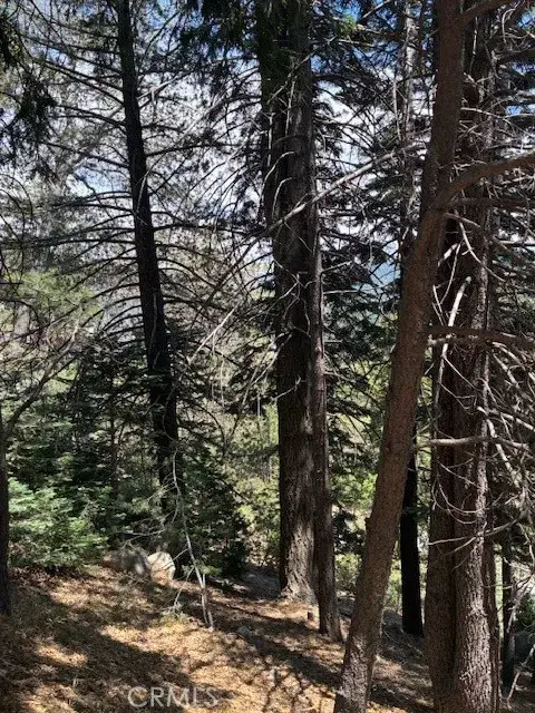 248 Old Toll, Lake Arrowhead, CA 92317 - Image #3