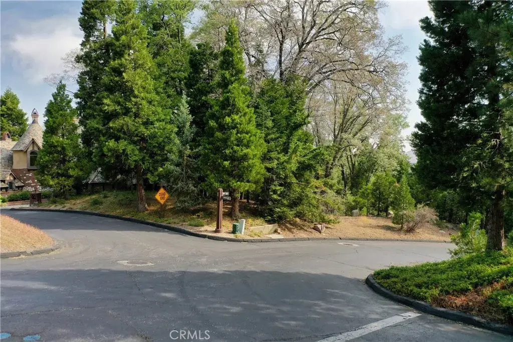 399 Cedar Ridge, Lake Arrowhead, CA 92352 - Image #1