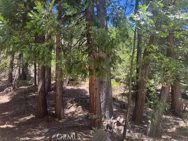 27476 Cedarwood, Lake Arrowhead, CA 92352 - #2