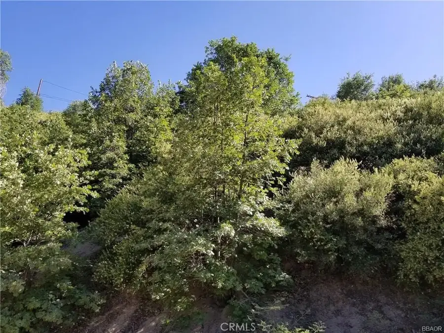 0 Elder, Cedar Glen, CA 92321 - Image #2