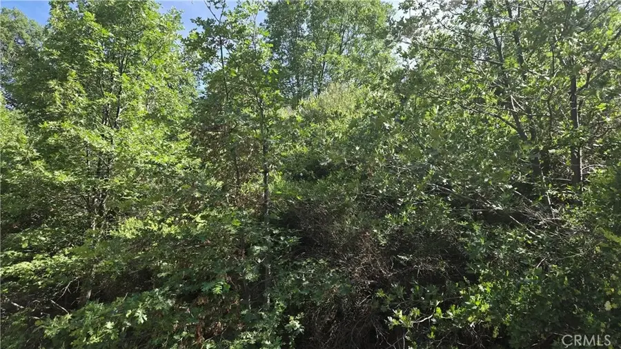 0 Elder, Cedar Glen, CA 92321 - Image #3