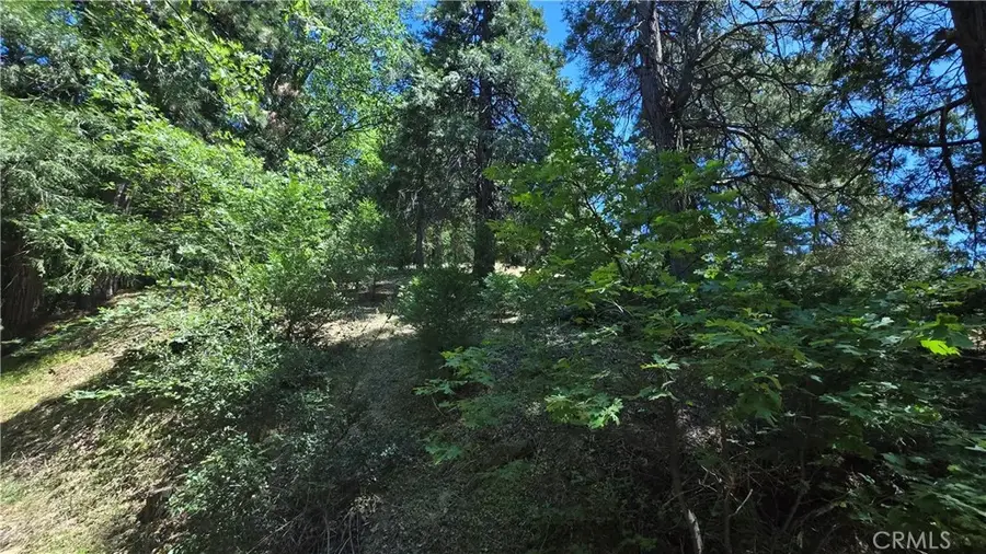 22494 Mojave River, Cedarpines Park, CA 92322 - Image #2