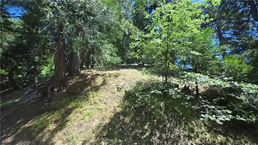 22494 Mojave River, Cedarpines Park, CA 92322 - Image #3