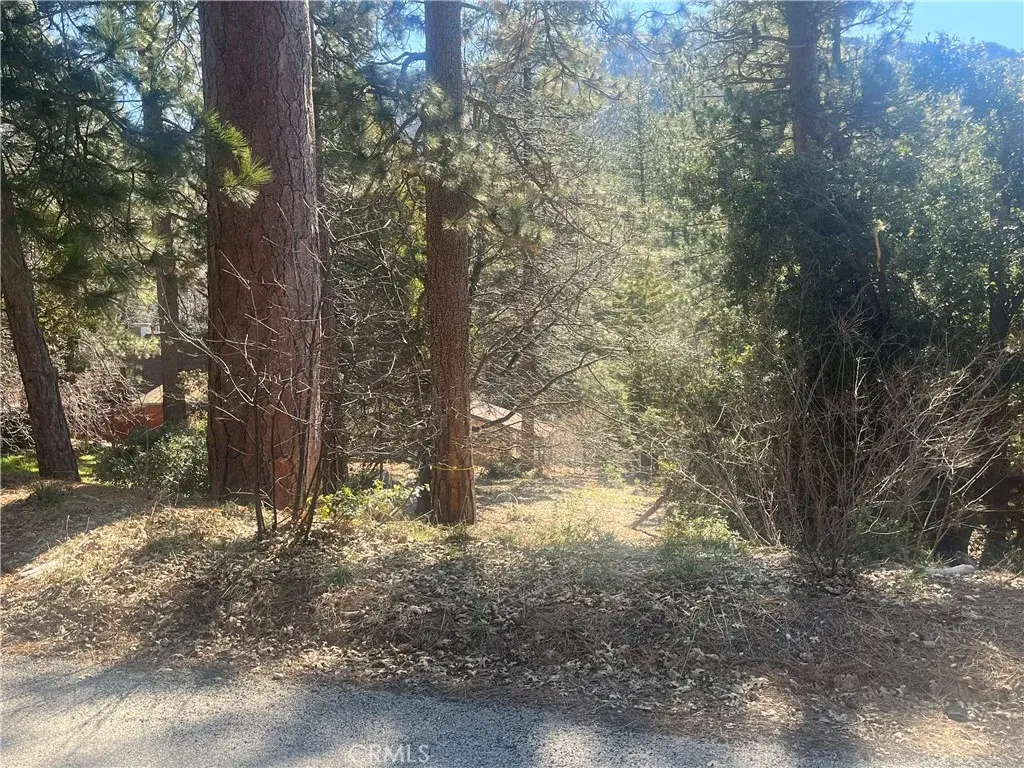 0 Robin Oak, Angelus Oaks, CA 92305 - Image #1