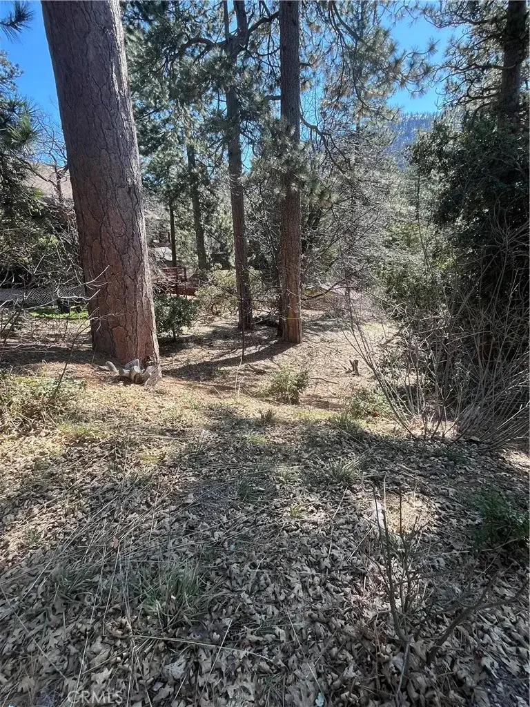 0 Robin Oak, Angelus Oaks, CA 92305 - Image #2