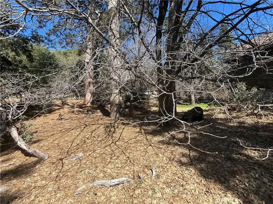 0 Robin Oak, Angelus Oaks, CA 92305 - Image #3