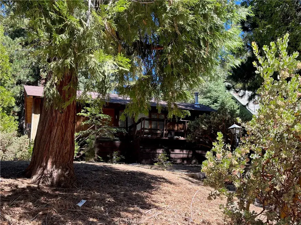 6020 Lake Drive, Angelus Oaks, CA 92305 - Image #1