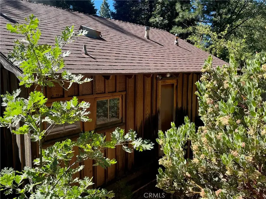 6020 Lake Drive, Angelus Oaks, CA 92305 - Image #3