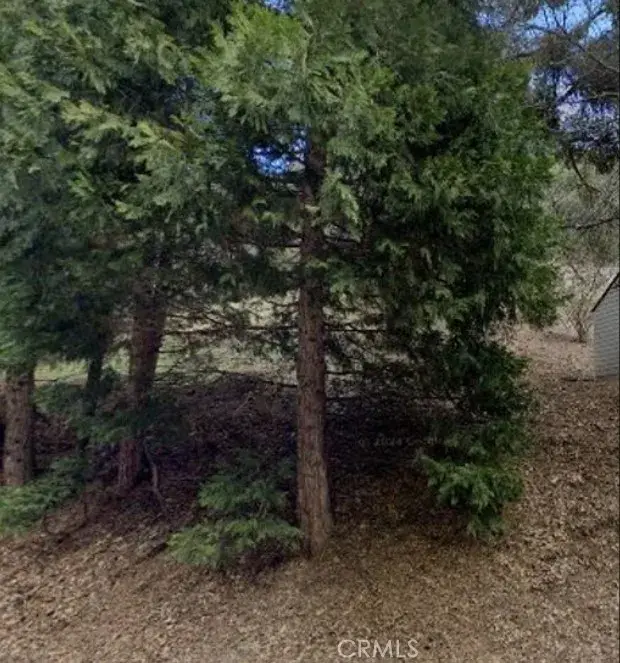0 Dart Canyon, Crestline, CA 92325 - Image #3