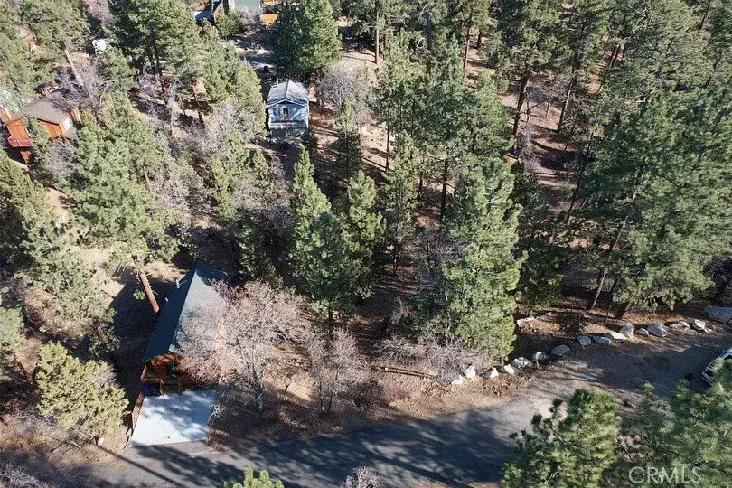 899 Kern, Sugarloaf, CA 92386 - Image #3