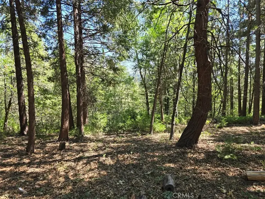 0 Lovers, Cedarpines Park, CA 92322 - Image #3