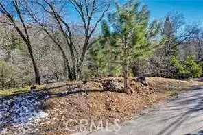 0 Deer, Lake Arrowhead, CA 92352 - #2