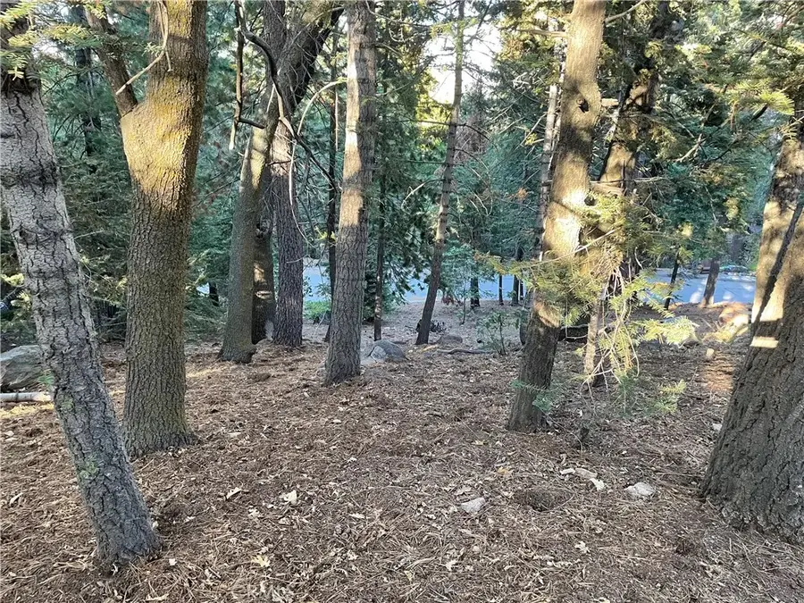 26405 Walnut Hills, Lake Arrowhead, CA 92391 - Image #2