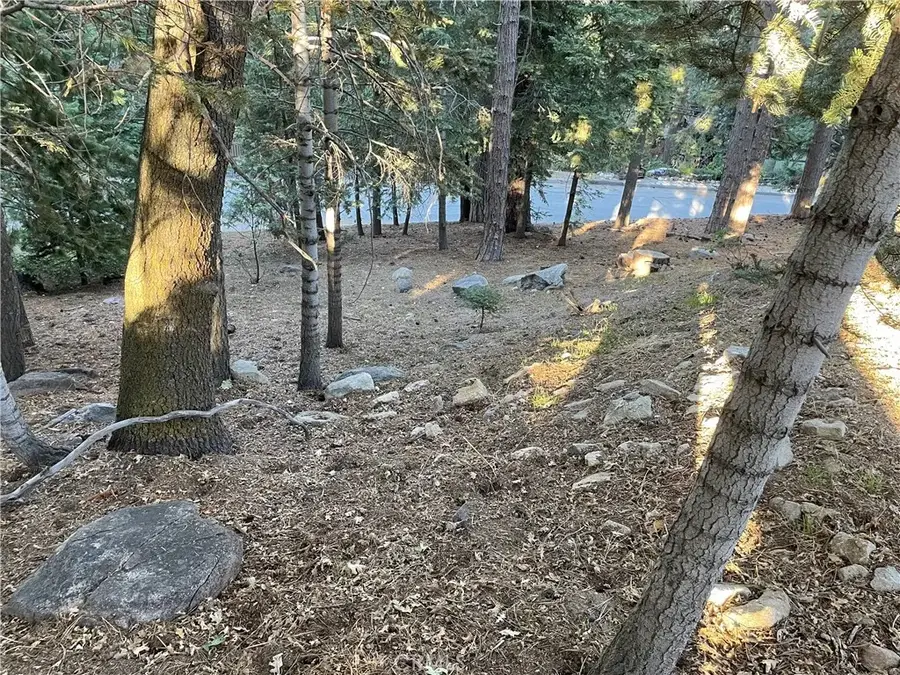 26405 Walnut Hills, Lake Arrowhead, CA 92391 - Image #3