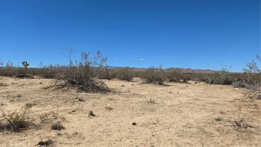 4102 Pine (jackrabbit), Landers, CA 92285 - Image #1