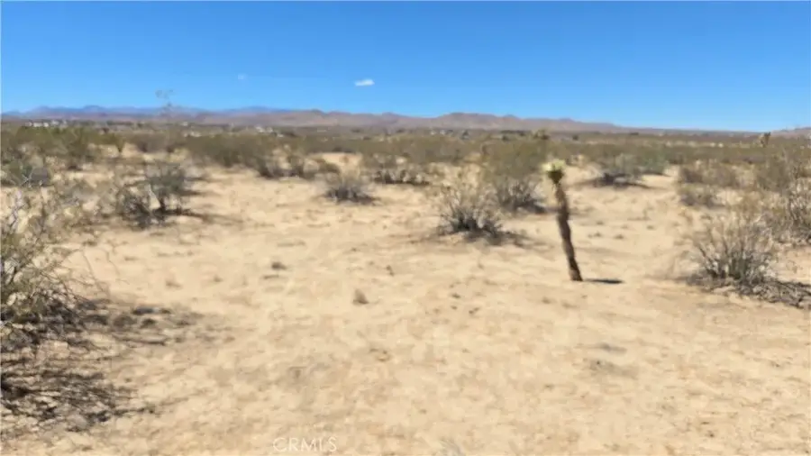 4102 Pine (jackrabbit), Landers, CA 92285 - Image #3
