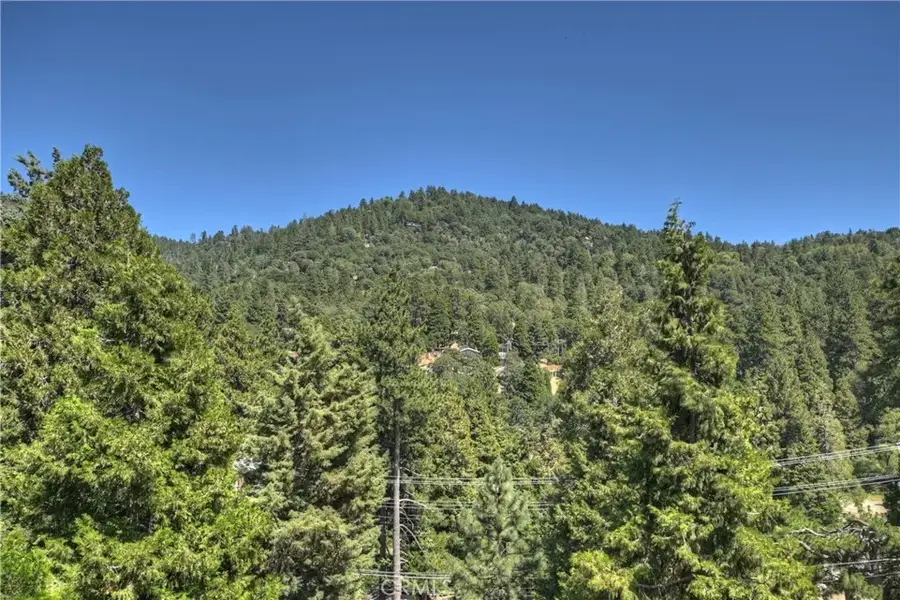 489 Dorn, Crestline, CA 92325 - #3