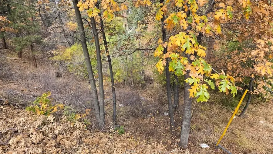 1000 Butte, Big Bear, CA 92314 - Image #2