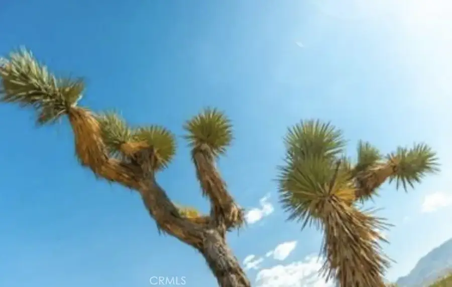 10 171st East, Palmdale, CA 93591 - #3