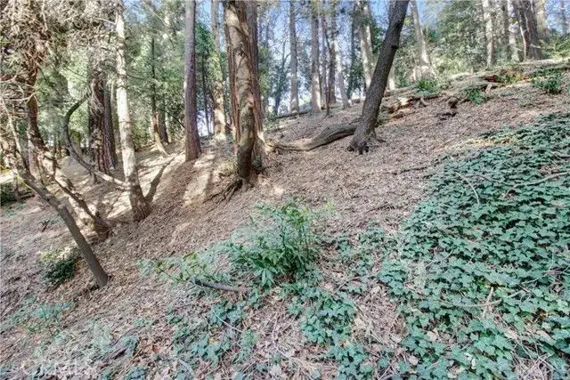 2661 Scenic, Crestline, CA 92325 - Image #1