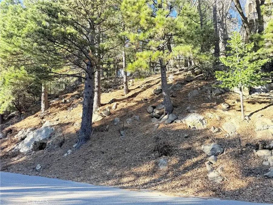 0 Thunderbird, Lake Arrowhead, CA 92352 - Image #2