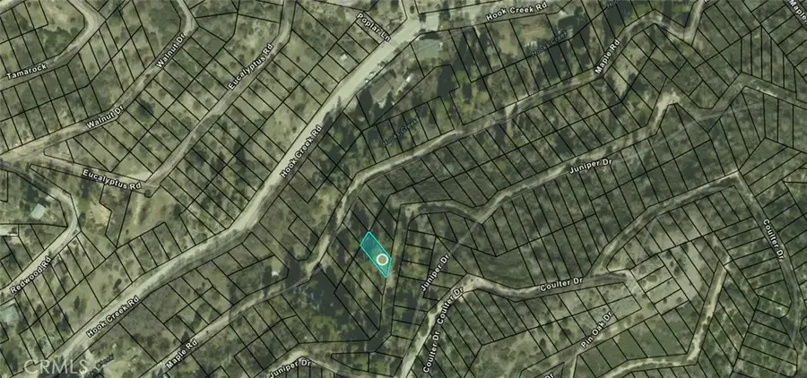 0 Pine, Cedar Glen, CA 92321 - #2