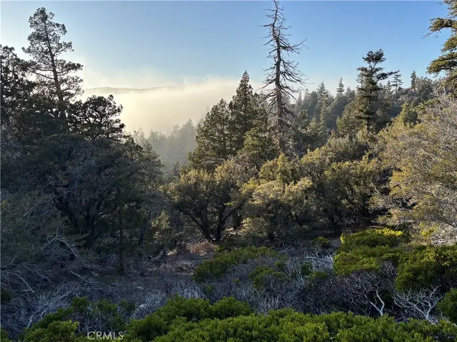 0 Ironwood, Angelus Oaks, CA 92305 - #2