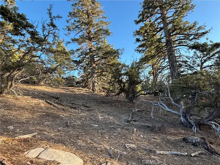 0 Ironwood, Angelus Oaks, CA 92305 - #3